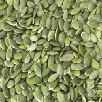 Pumpkin Seeds Without Shell for Sale