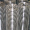 Hot Dipped Coated Galvanized/Electro Welded Wire Mesh