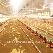 Équipement automatique d&#39;élevage de poulet pour la ferme moderne