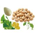 (Extracto de Ginkgo Biloba) --- Extracto de Blinking e Anti-Rugas de Ginkgo Biloba