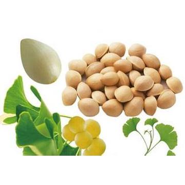 (Ginkgo Biloba Extract) ---Whitening and Anti-Wrinkle Ginkgo Biloba Extract