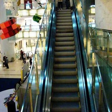 Sicher Gre20 Escaleras mecánicas de calidad