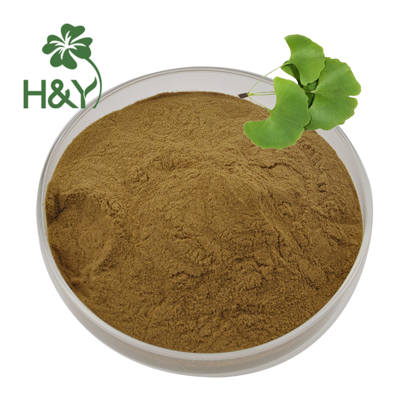 ginkgo biloba extract (2)