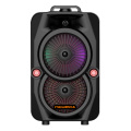 Portable Wireless 6.5-Inch Multimedia Trolley Speaker