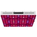 CXB3590 LED LED Grow Light Full Spectrum