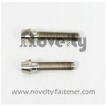 Titanium Bicycle Screw with hex socket