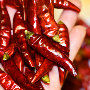 Pimienta de pimienta chaotiana de alimentos rojos secos