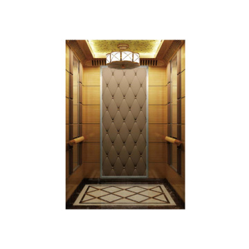Modern Design Stainless Steel Passenger Elevator