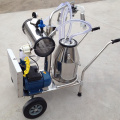 Milking machine with vacuum pump motor