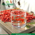 Health fruit ningxia zhongning low pesticide dried goji berry with much Vitamin C