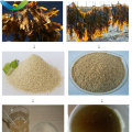 Raw Material Sodium Alginate