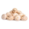 White button mushroom extract 10%-50% Polysacchrides