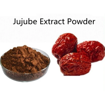 Comprar ingredientes en línea Jujube Extract Powder