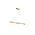 Modern design suspendant LED pendant light