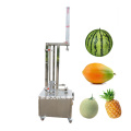 Vegetable Peeling Machine Pineapple Pumpkin Peeler Machine