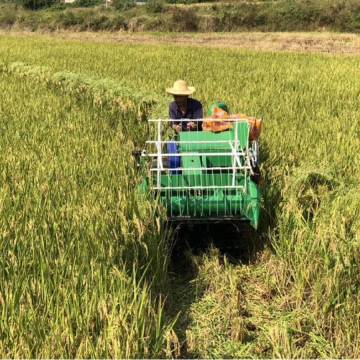 Machine de récolte de riz Mini moissonneuse-batteuse Prix