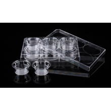 PC Memberane Cell Culture Inserts for 6-well plates