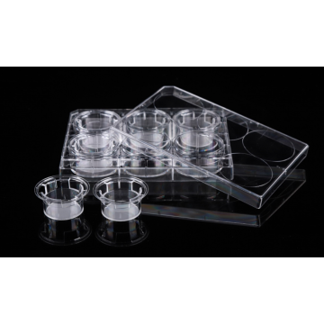 PC Memberane Cell Culture Inserts for 6-well plates