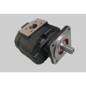 Hydraulic gear pumps cast iron