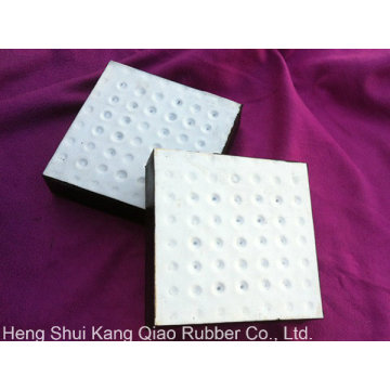 PTFE Surface of Bridge Rubber Bearing Pad Made in China