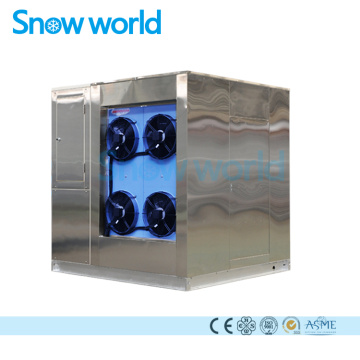 Snow world 3T Plate Ice Plant For Drinking