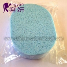 Green PVA Sponge