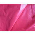 20d Nylon Taffeta Fabric for Down Coat (XSN007)