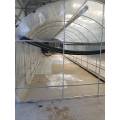 Tunnel PE Flim Greenhouse For Vegetables / Flower