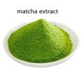 Pure Natural Plant Extract Matcha Extract Powder Supply