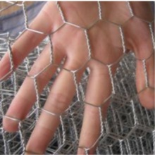 Verhexen. Wire Netting / Chicken Wire Netting / verzinkte Wire Netting