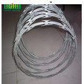 Easily Assembled Double Twist Zazor Barbed Wire