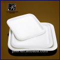 PT-1421 porcelain square plate