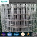 Welded Wire Mesh with Low Price