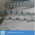 Galvanized Tomato Spiral Support for Planting Climp