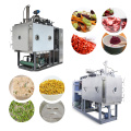 Pilot Scale Vacuum Freeze Drying Machine