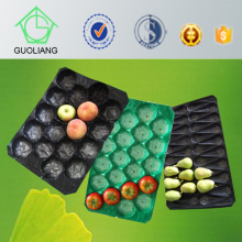 PP Disposable Packaging Container for Fresh Produce Packaging