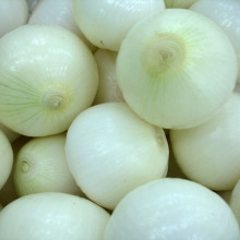 Big Excellent Peeled Onion Large Supplier