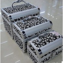 Cosmetics Case