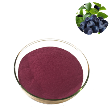 Factory Supply bilberry fruit powder