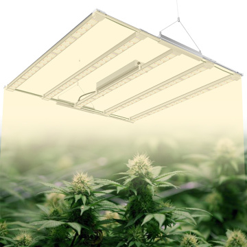 Tenda de cultivo de cultivo LED