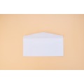 White Commercial Paper Envelope