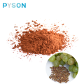 Extrait de pépins de raisin en poudre Procyanidine OPC 95% 4852-22-6