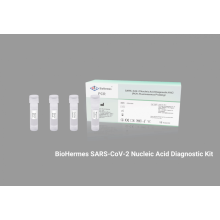 COVID-19 Nucleic Acid Detection Test