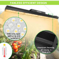 High bay linear grow light for strawberry