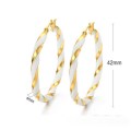 Stainless steel gold Circle hoop earring with enamel