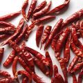 4-7cm Tianying Chili Grande Fornecedor