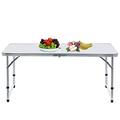 Mesa de picnic plegable para barbacoas con 4 sillas