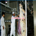 Slaughtering Line in Meat Processing in Poultry House