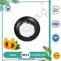 Food Grade White Powder Organic Papain Powder