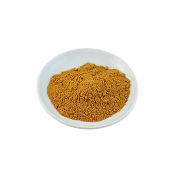 Organic Green Tea Extract Powder